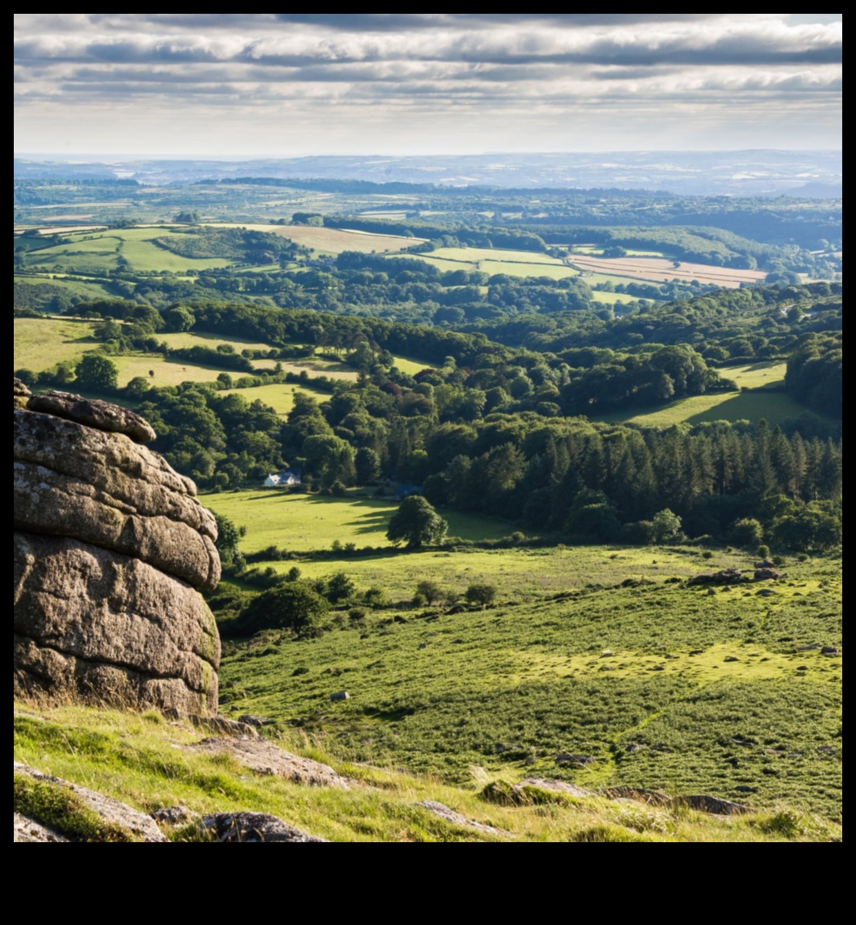 الخلوات النباتية: إعادة اكتشاف الحدائق والمساحات الخضراء