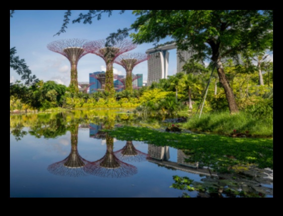 الخلوات النباتية: إعادة اكتشاف الحدائق والمساحات الخضراء