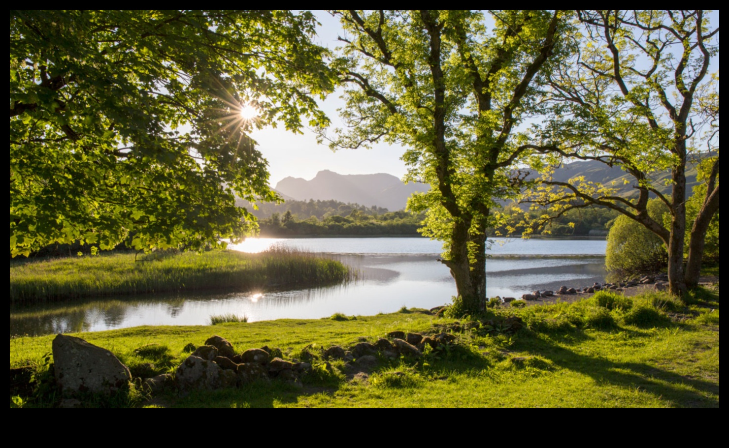 الخلوات النباتية: إعادة اكتشاف الحدائق والمساحات الخضراء