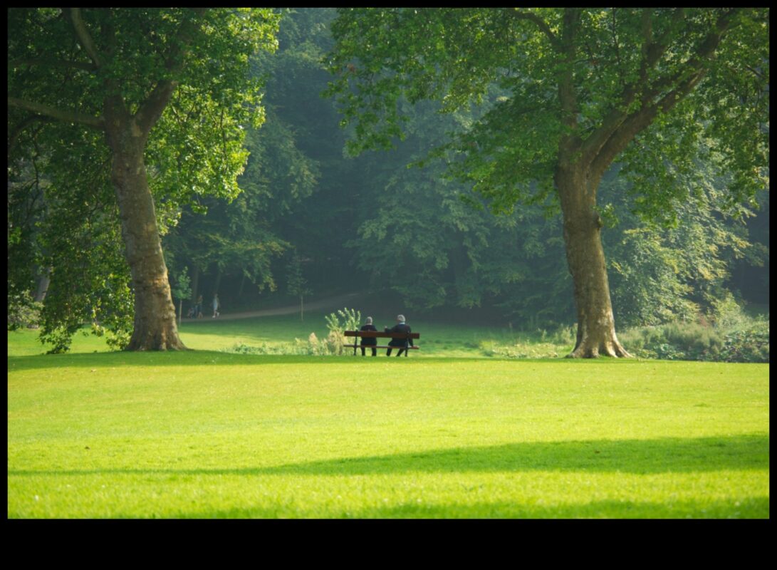 الخلوات النباتية: إعادة اكتشاف الحدائق والمساحات الخضراء