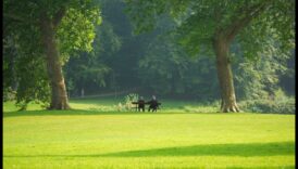 الخلوات النباتية: إعادة اكتشاف الحدائق والمساحات الخضراء