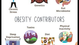 وليمة اللياقة البدنية الوظيفية: أنشطة ممتعة للتحكم الفعال في الوزن