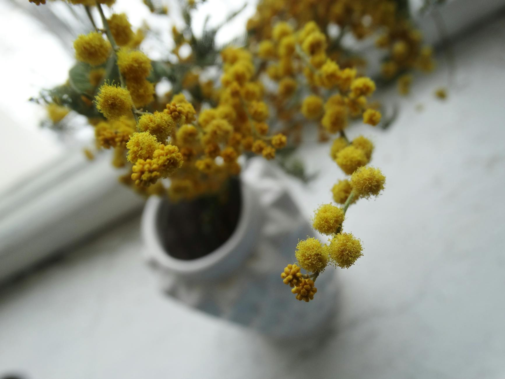 صورة بيكسلز 1056610