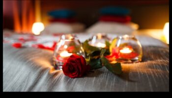 اختيارات العاطفة: نصيحة هدية أنيقة لعيد الحب الرومانسي