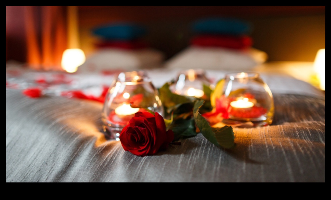 اختيارات العاطفة: نصيحة هدية أنيقة لعيد الحب الرومانسي