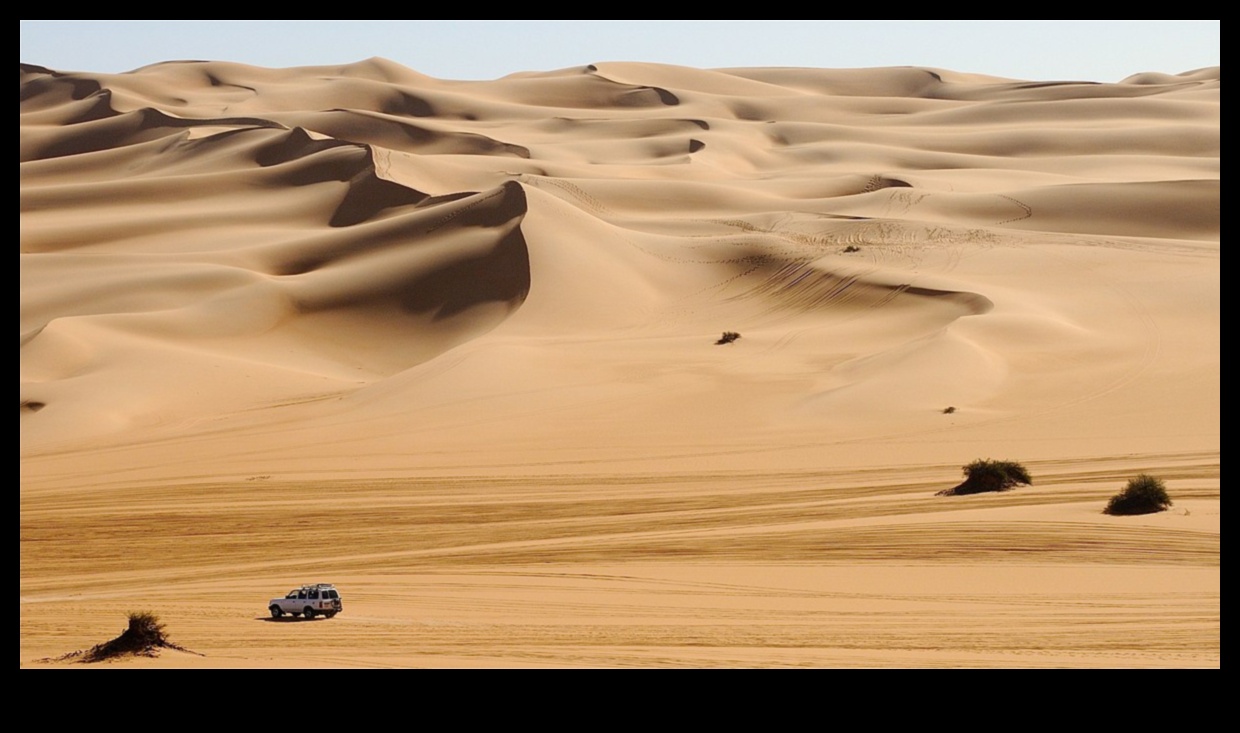 جاذبية المناظر الطبيعية الصحراوية