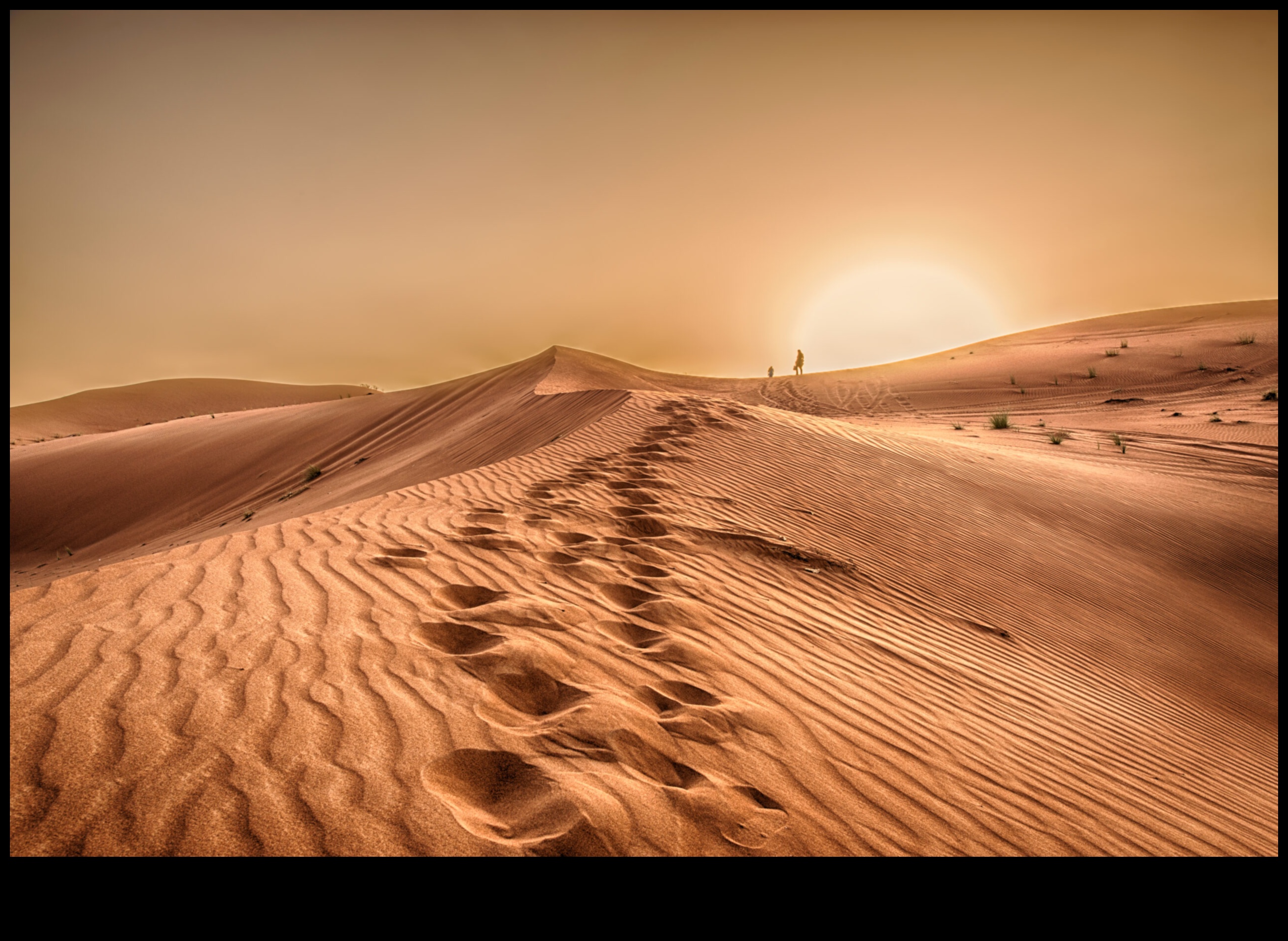 جاذبية المناظر الطبيعية الصحراوية