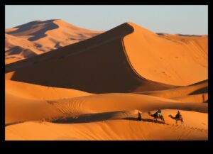 جاذبية المناظر الطبيعية الصحراوية