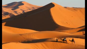 جاذبية المناظر الطبيعية الصحراوية