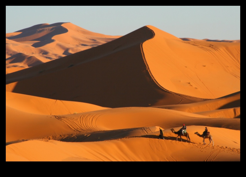جاذبية المناظر الطبيعية الصحراوية