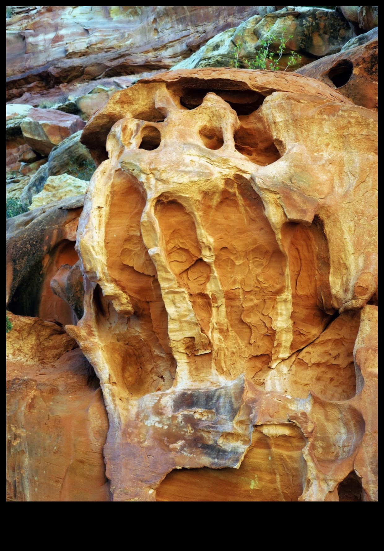 منحوتات الطبيعة: الفن الأرضي الذي يلهم العجب