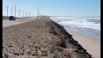 التآكل الساحلي: تشكيل المنحدرات والشواطئ