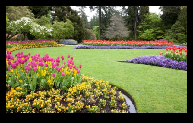 الانسجام في التصميم: هندسة المناظر الطبيعية