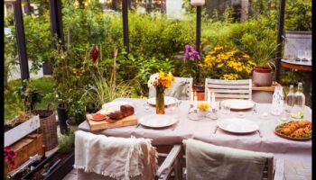 حفلات الحديقة: احتفالات في محيط طبيعي