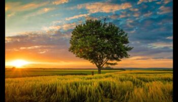 تنفس في الجمال: المناظر الطبيعية الخلابة للإلهام