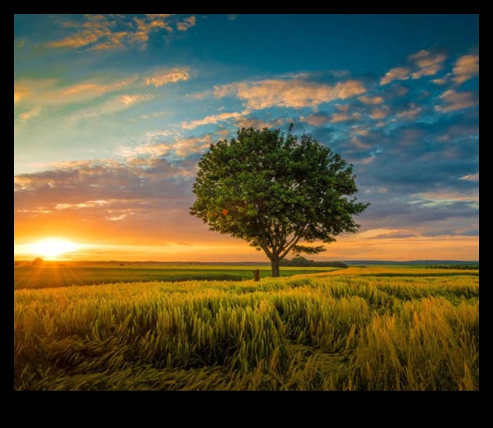 تنفس في الجمال: المناظر الطبيعية الخلابة للإلهام