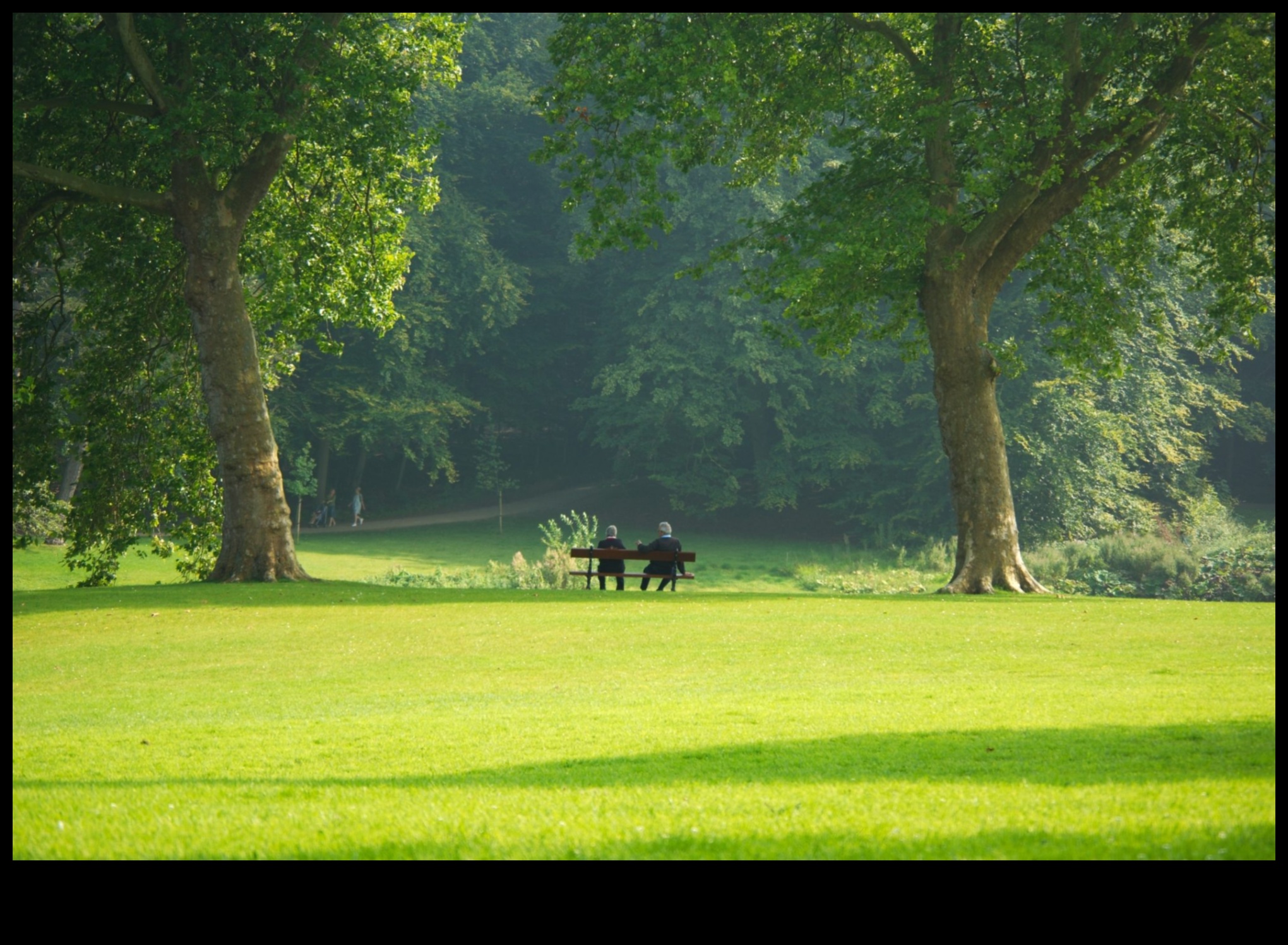 الخلوات النباتية: إعادة اكتشاف الحدائق والمساحات الخضراء